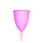 Kegel8 Menstrual Cup 6