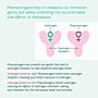 Menissimo Menopause Foundation Smart Sage/Savvy Soy/Erotique 7