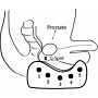  Maxhim Prostate Cradle External Massager for Prostate Pain & Prostatitis 2