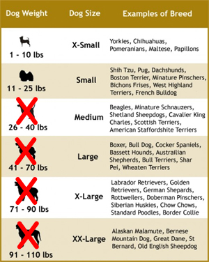 Pet Cave Dog Size Chart