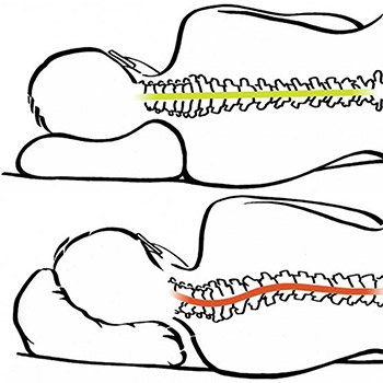 Sissel pillow benefits for the spine
