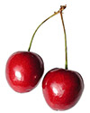 tart cherry