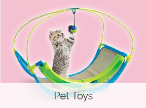 Pet Toys